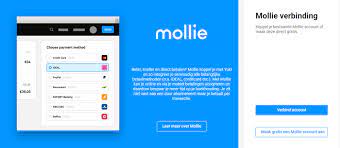 Buy Mollie Verified Account