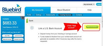 Buy Bluebird Bank Account
